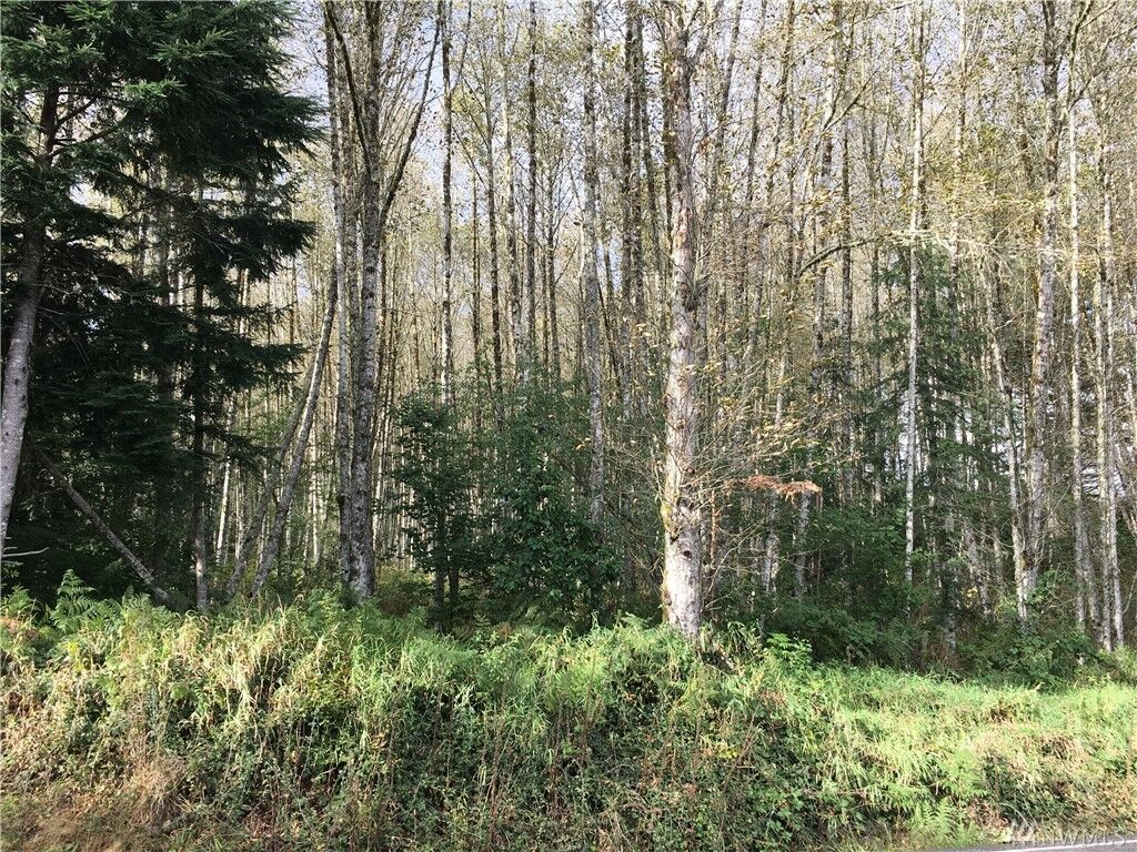 Property Photo: 4281 Xx Hwy 508 WA 98570
