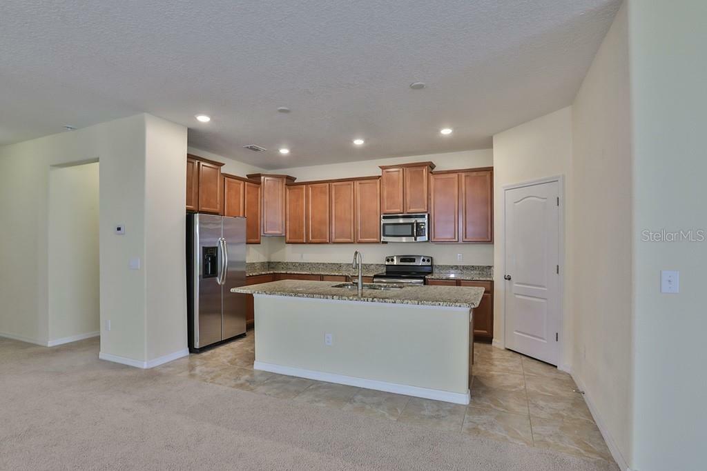 Property Photo: 907 Peregrine Hill Place FL 33570