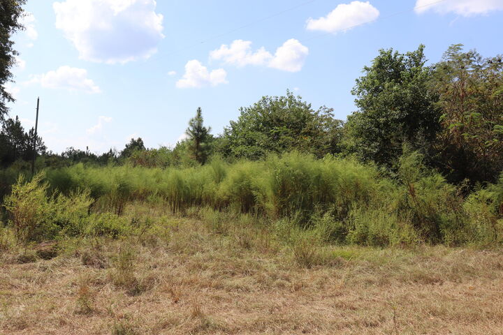 6968 Lee Cook Road  Baker FL 32531 photo