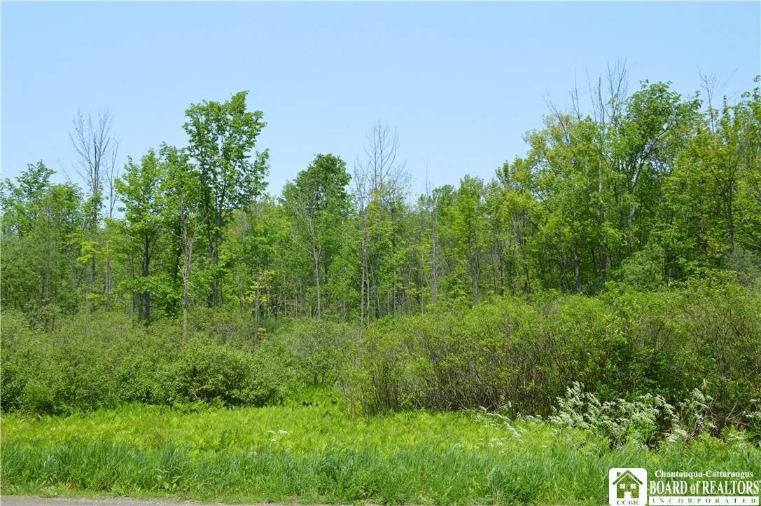 Property Photo:  0 Maple Springs-Ellery Road N  NY 14712 