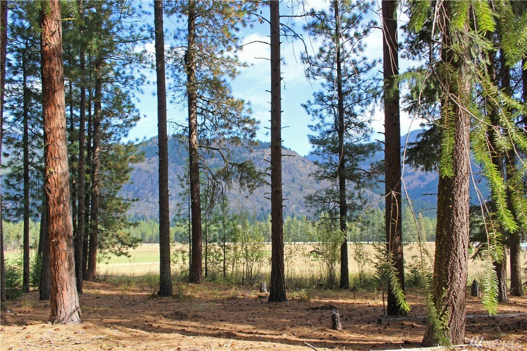 Property Photo:  3 Alpine Valley Lot 3&4  WA 98833 