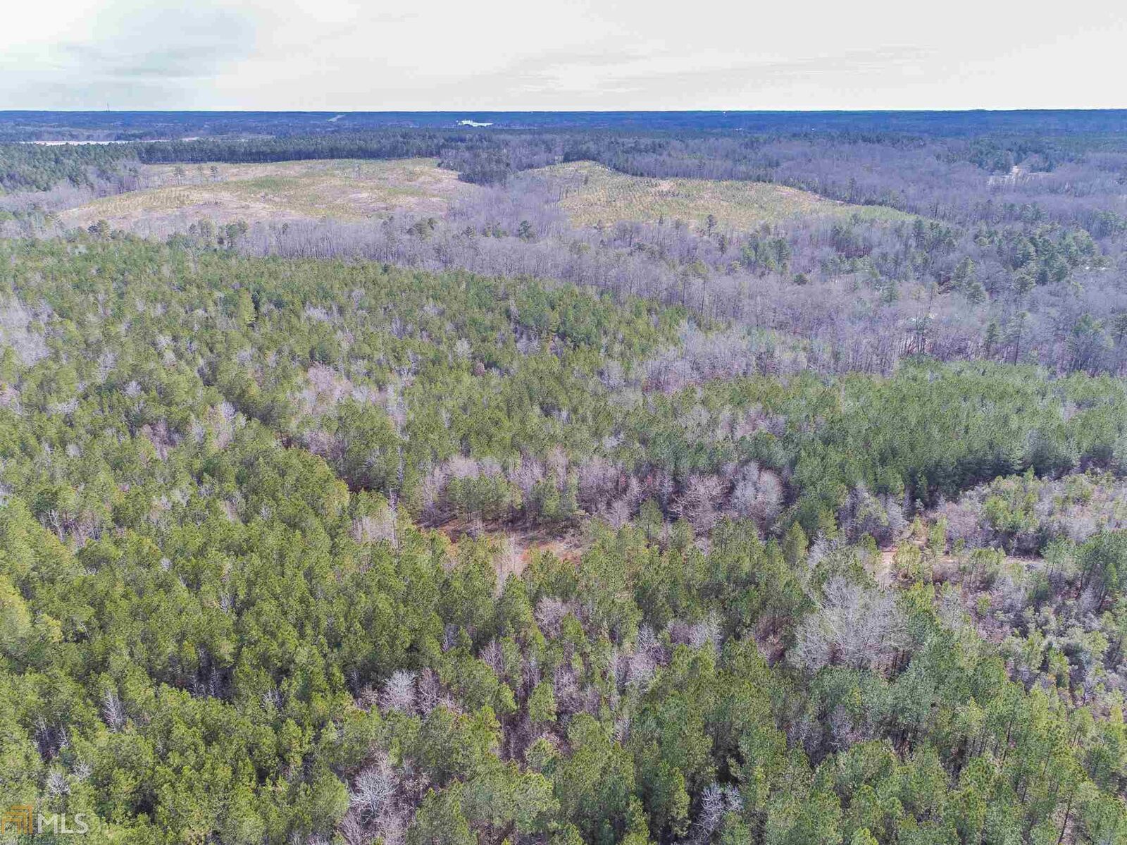 Property Photo: 0 Southshore Road GA 31024