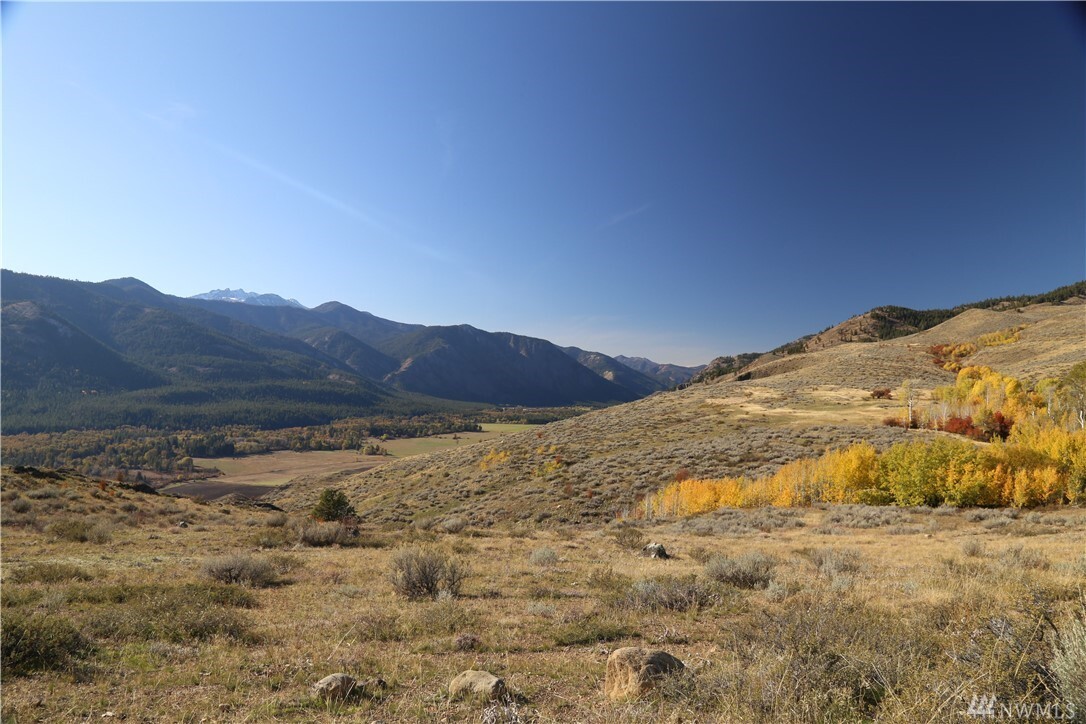 Property Photo: Tbd Spring Grass Rd WA 98862