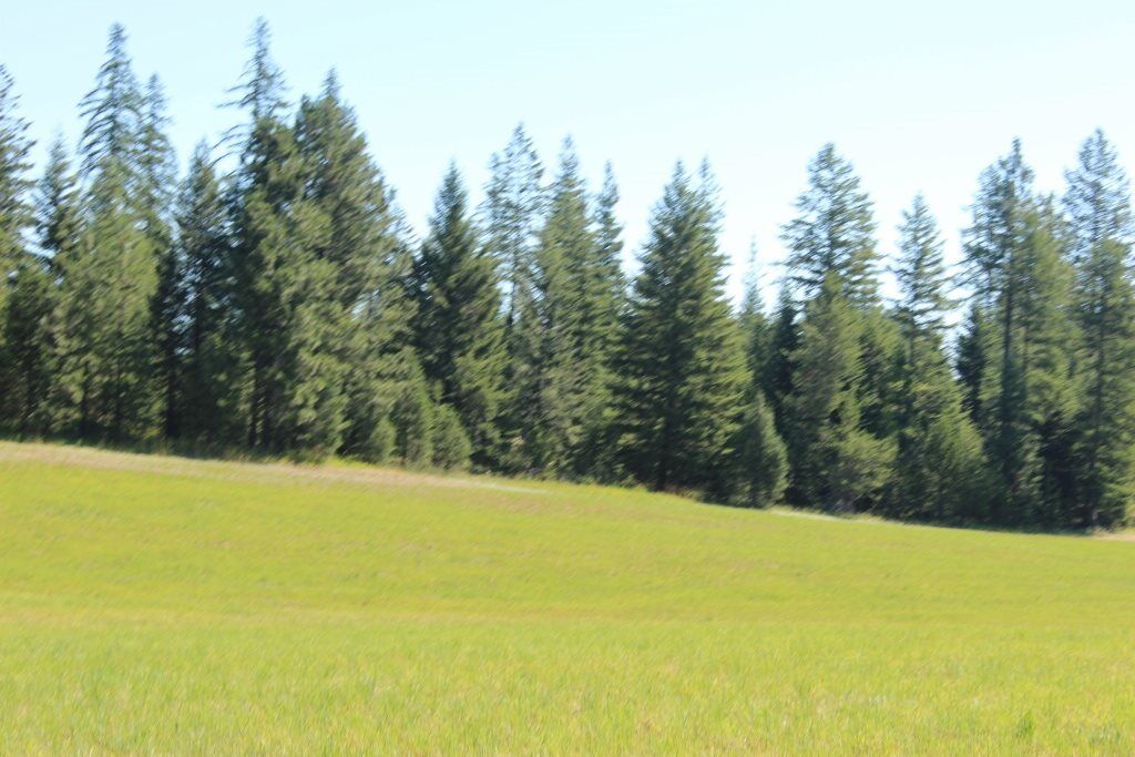 Property Photo: 1110 Stohr Rd WA 99156