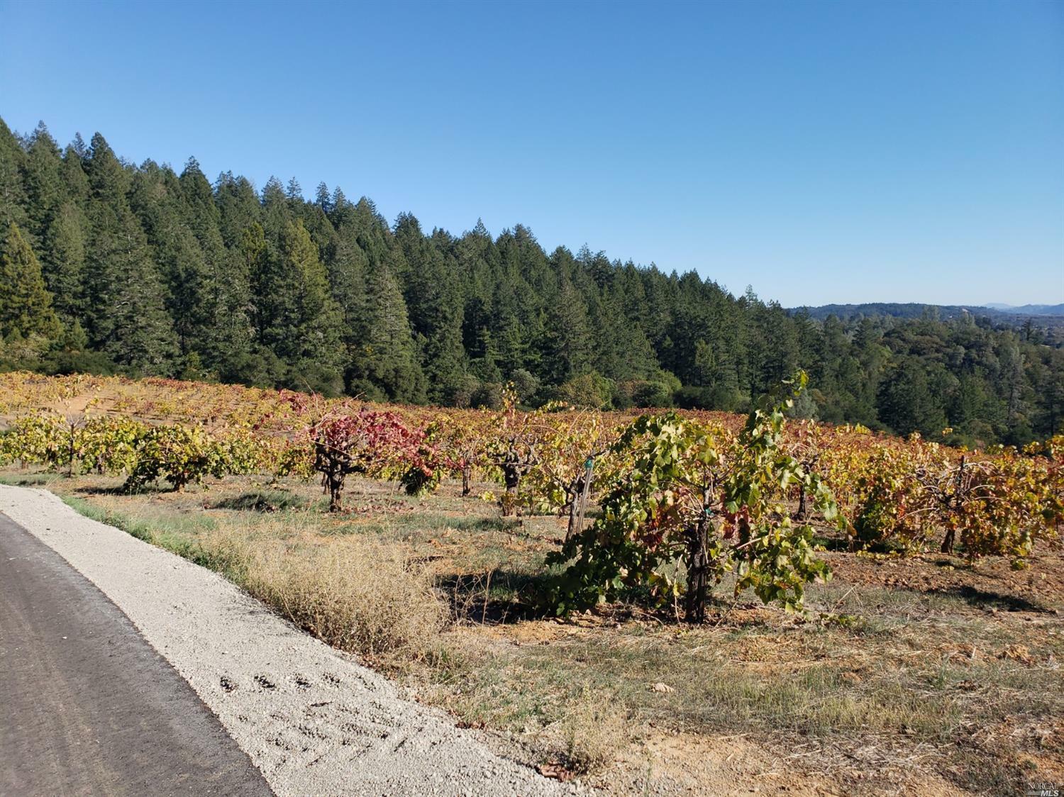 Property Photo: 9722 Dry Creek Road CA 95448