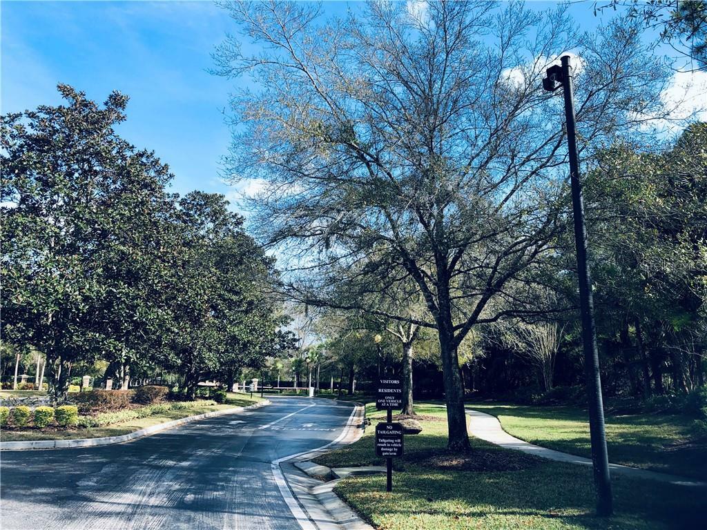 Property Photo: 2503 Mexican Sun Drive FL 33559