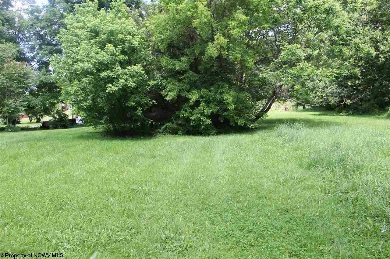 Property Photo:  Lot 4 Knapp Street  WV 26241 