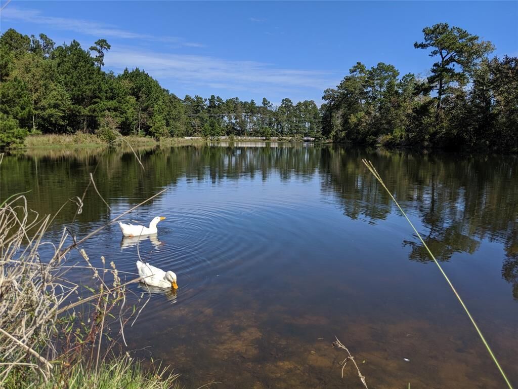 Property Photo: 24013 Misty Lake Circle TX 77357