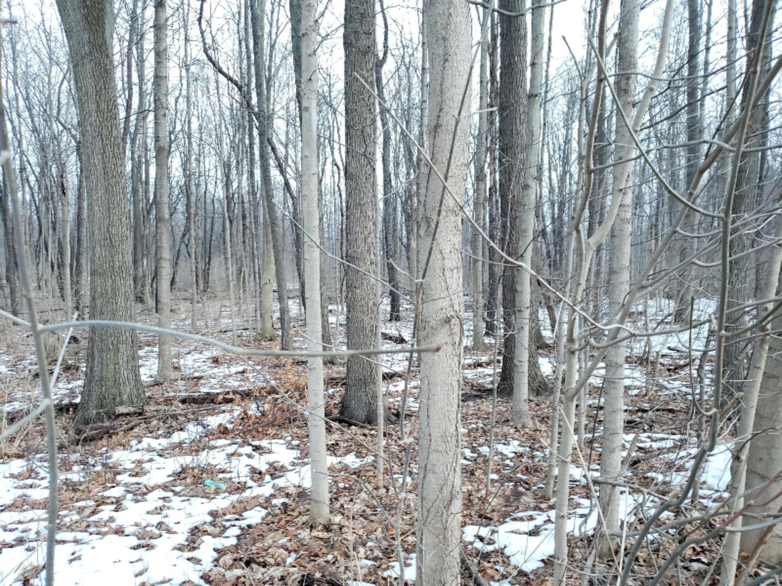 Property Photo: Vl N 5th Street MI 49120