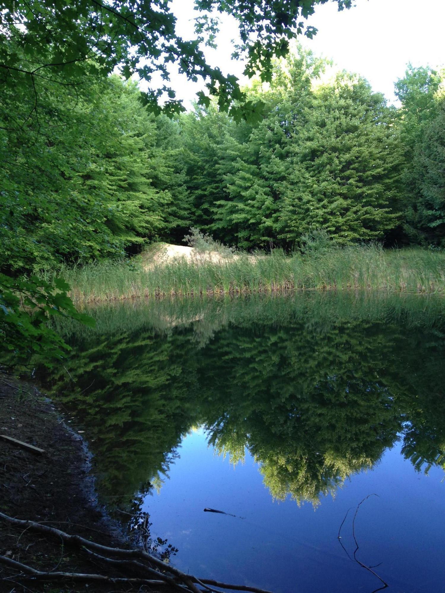 Property Photo: 0 Birchwood Drive MI 49456