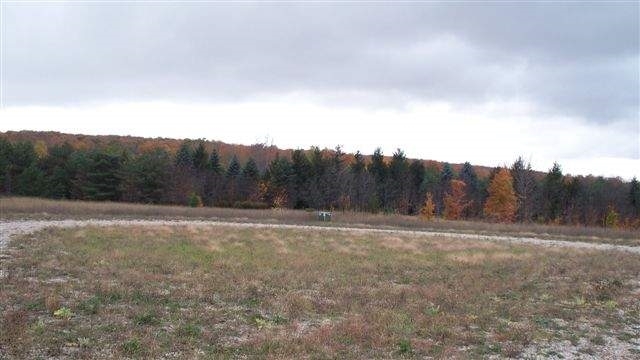 8195 Bluebird Lot 15  Alanson MI 49706 photo