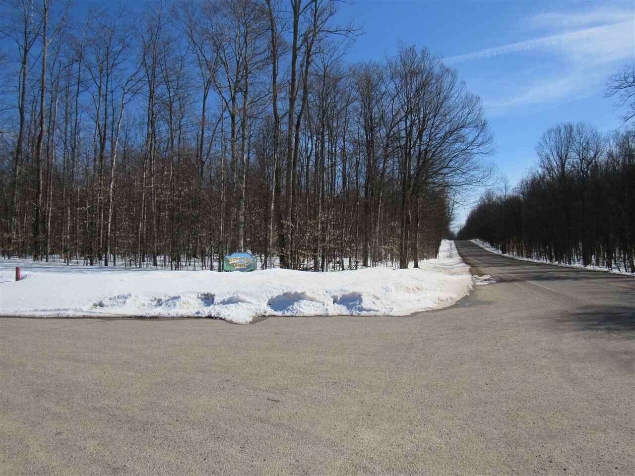 Property Photo:  11311 Berry Creek Valley Rd, #32  MI 49740 