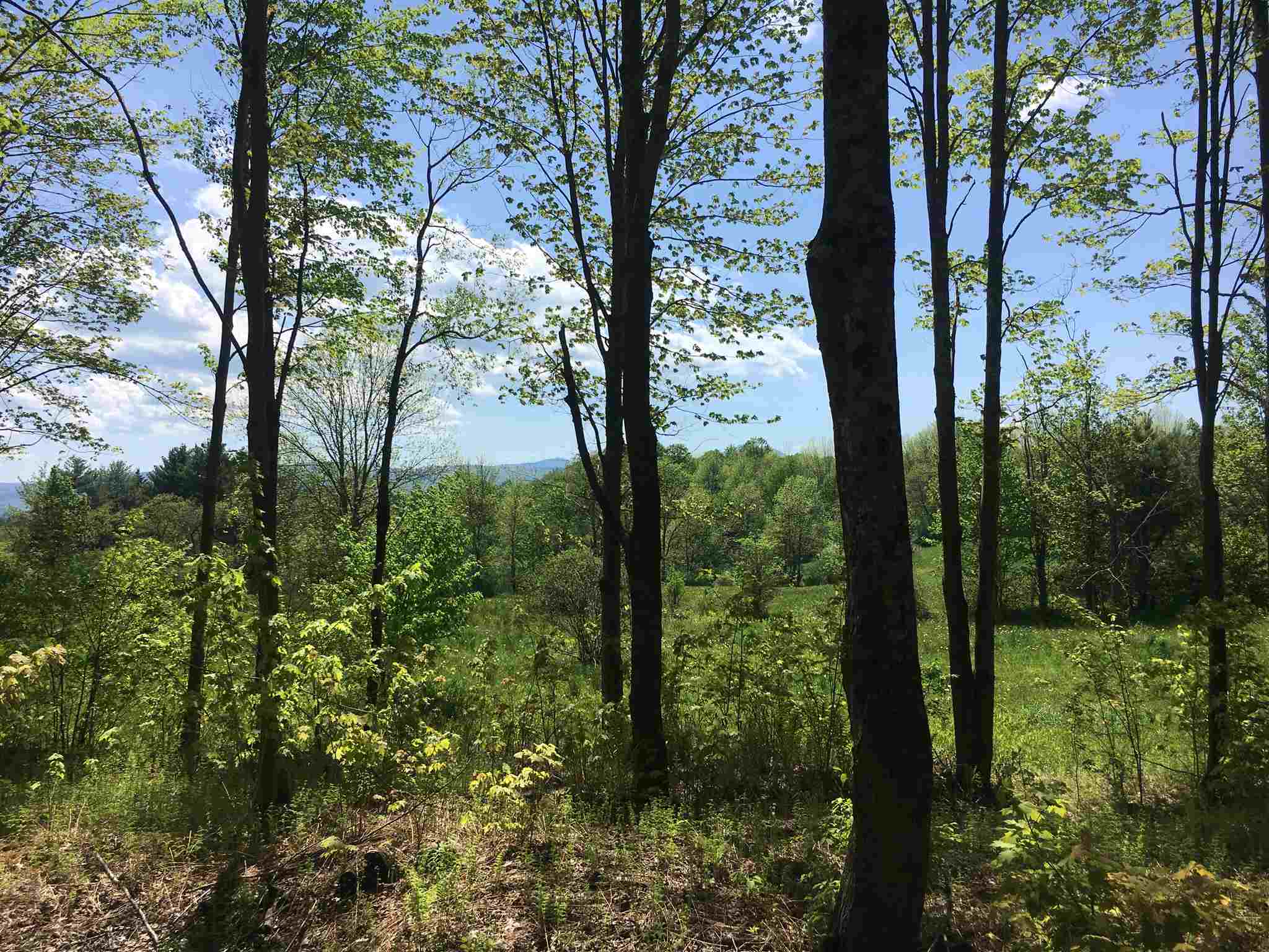 Property Photo: Lot 3 Guptil Road Lot #3 VT 05677