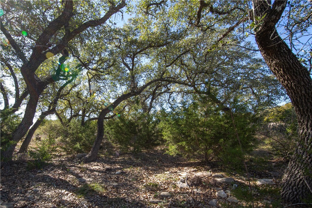 Property Photo: Tbd Flanders TX 78623