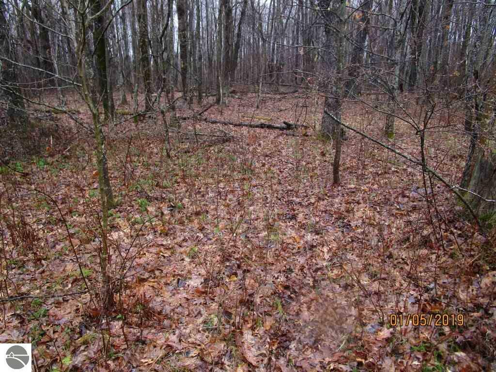 Property Photo:  Tbd N Old State Road  MI 48625 