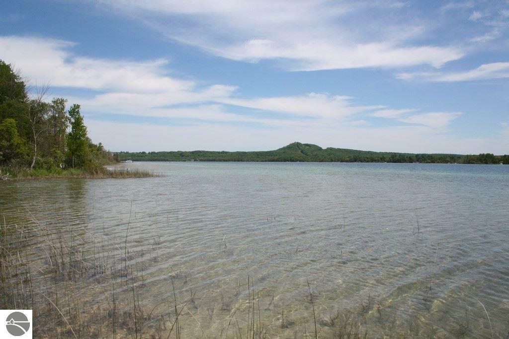 Property Photo:  W Traverse Lake Road  MI 49621 