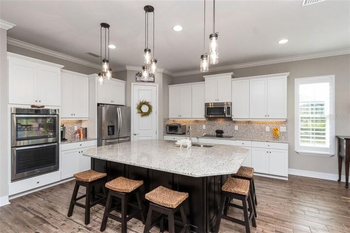 Property Photo:  17707 Daisy Farm Drive  FL 33559 