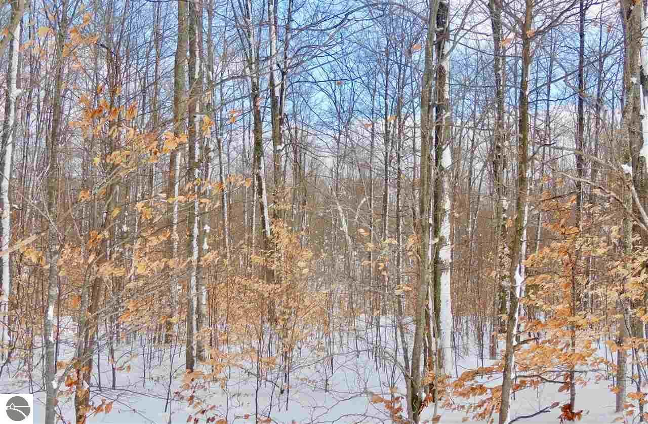 Property Photo: Lot 'F' Green Briar Road MI 49650