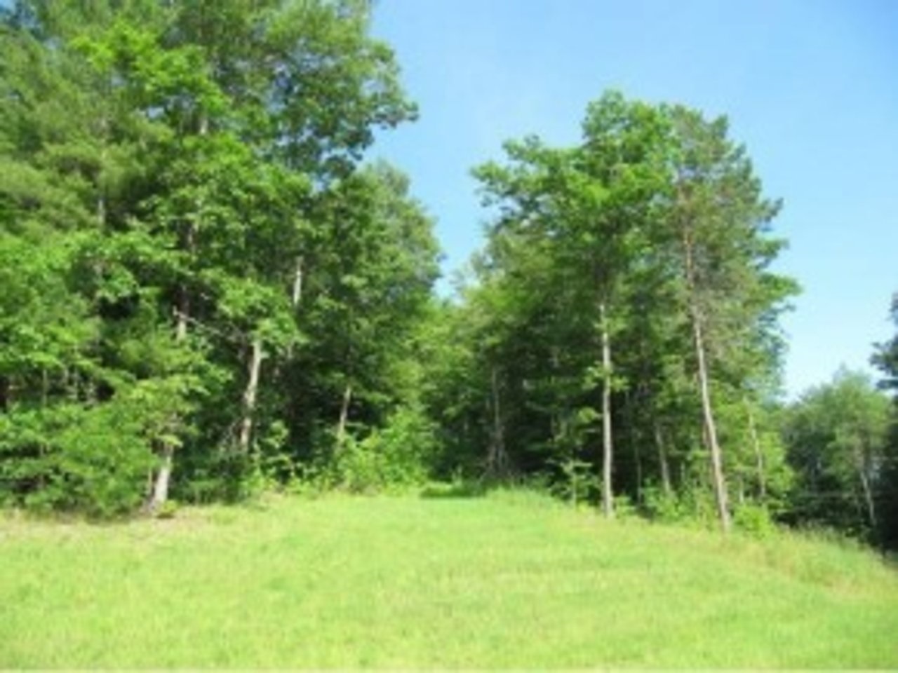 121 Bradford Terrace 7A  Richmond VT 05477 photo