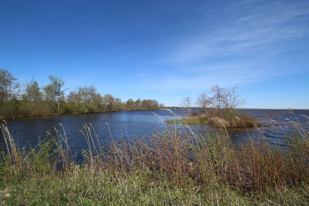 Property Photo:  1400 Crist Isle Drive  MI 49721 