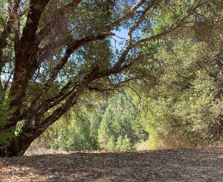 7771 Boondock Trail  Somerset CA 95684 photo