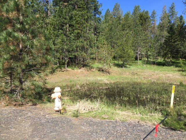 Property Photo: 0 Half Moon Lake Ln WA 99005