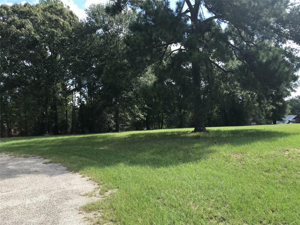 Property Photo: 16 Peaceful Drive TX 77340