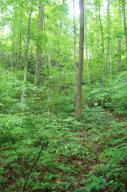 Property Photo:  128 Springside Way  TN 37882 