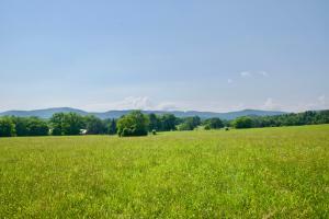 Property Photo:  Lot 8 Whites Mill Rd  TN 37803 