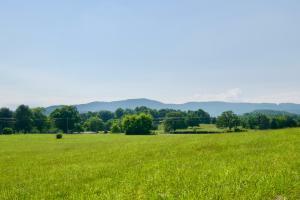 Property Photo:  Lot 6 Chilhowee View Rd  TN 37803 