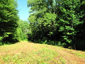 Property Photo:  1976 Carrs Creek Rd  TN 37882 