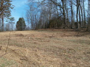 Property Photo:  Five Mile Rd  TN 37763 