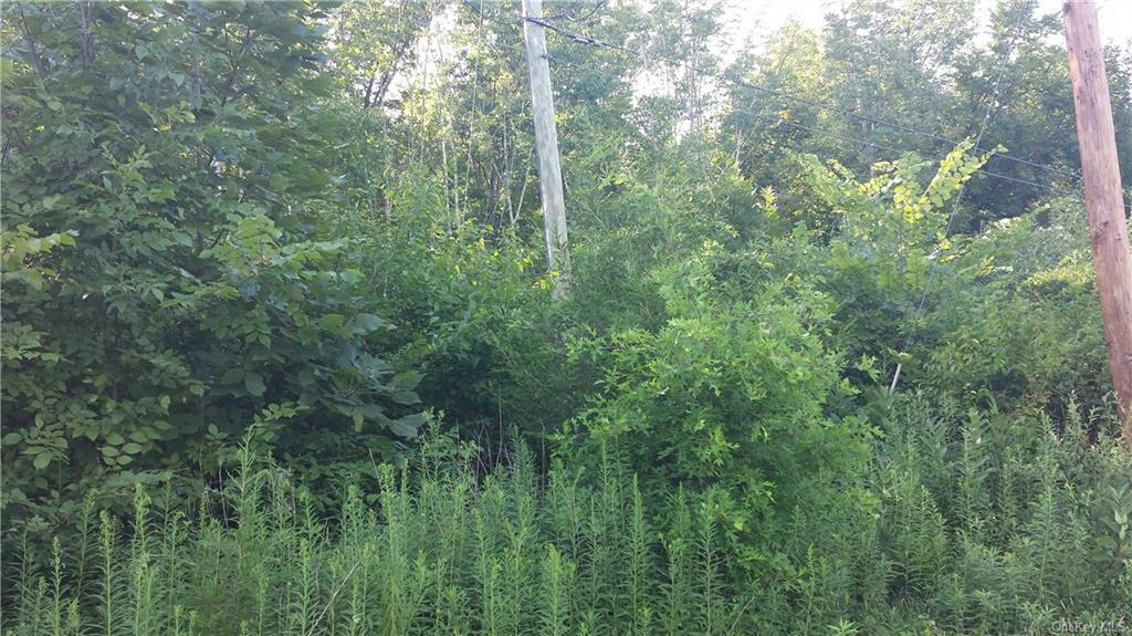 Property Photo: 189 Sands Road NY 10941