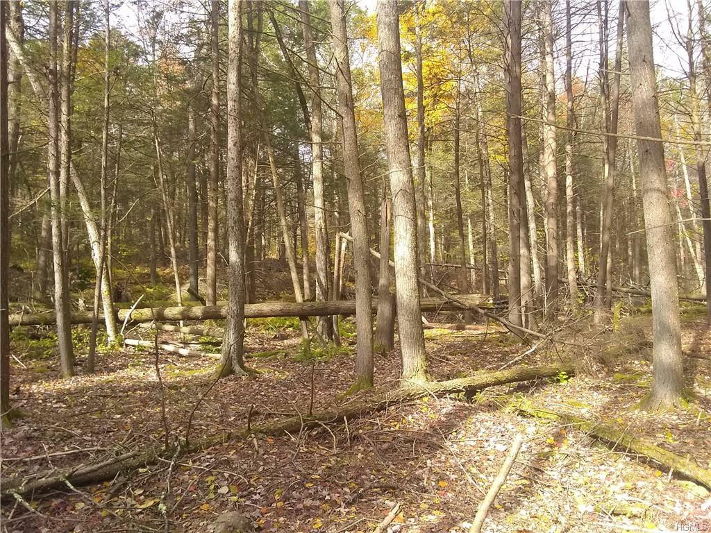 Property Photo:  Dill Road  NY 12777 