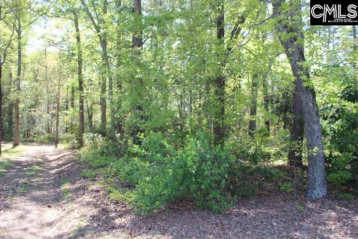 Property Photo:  Gibson  SC 29072 