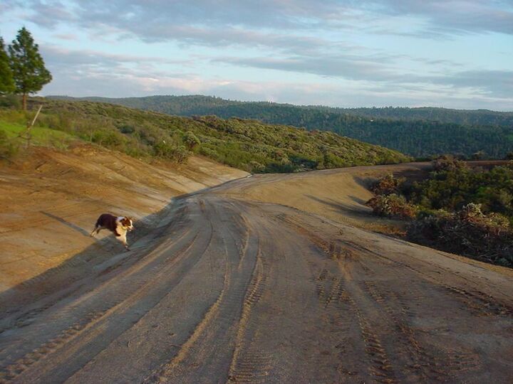 0 20 Acres Snowbird Lane  Somerset CA 95684 photo