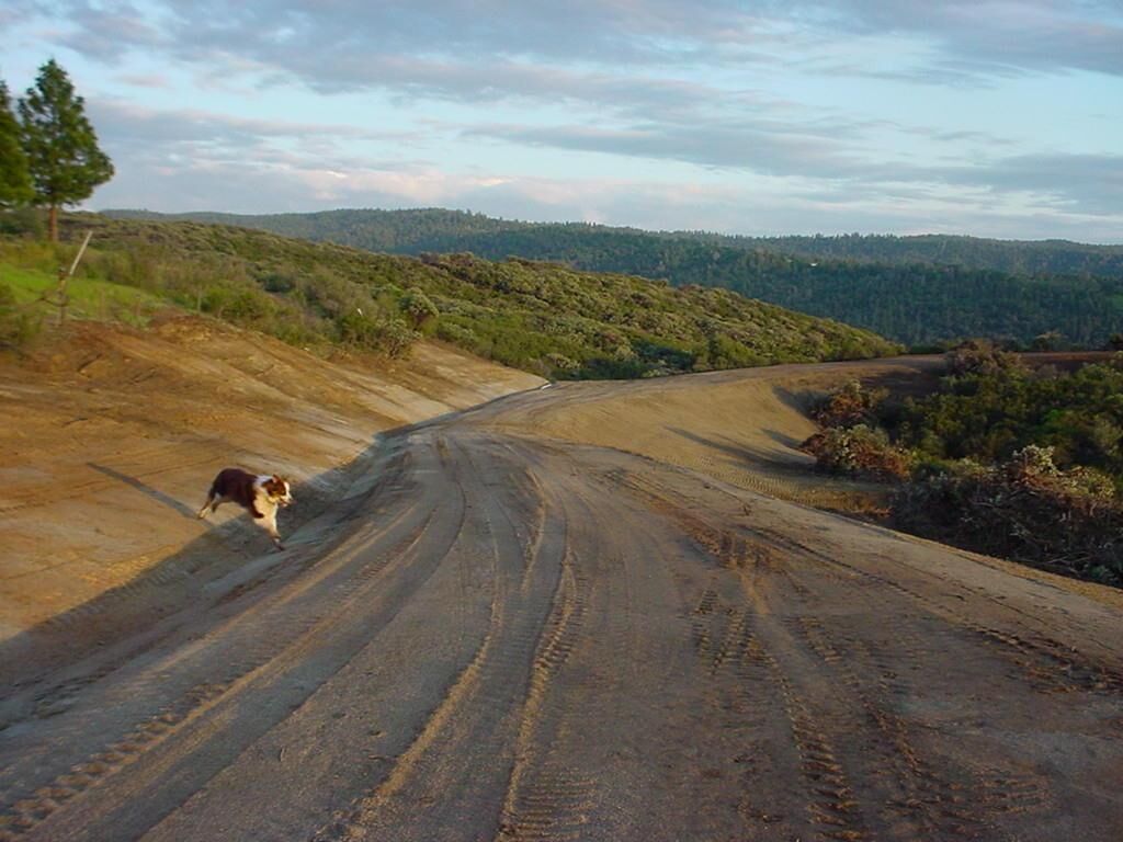 Property Photo: 0 20 Acres Snowbird Lane CA 95684