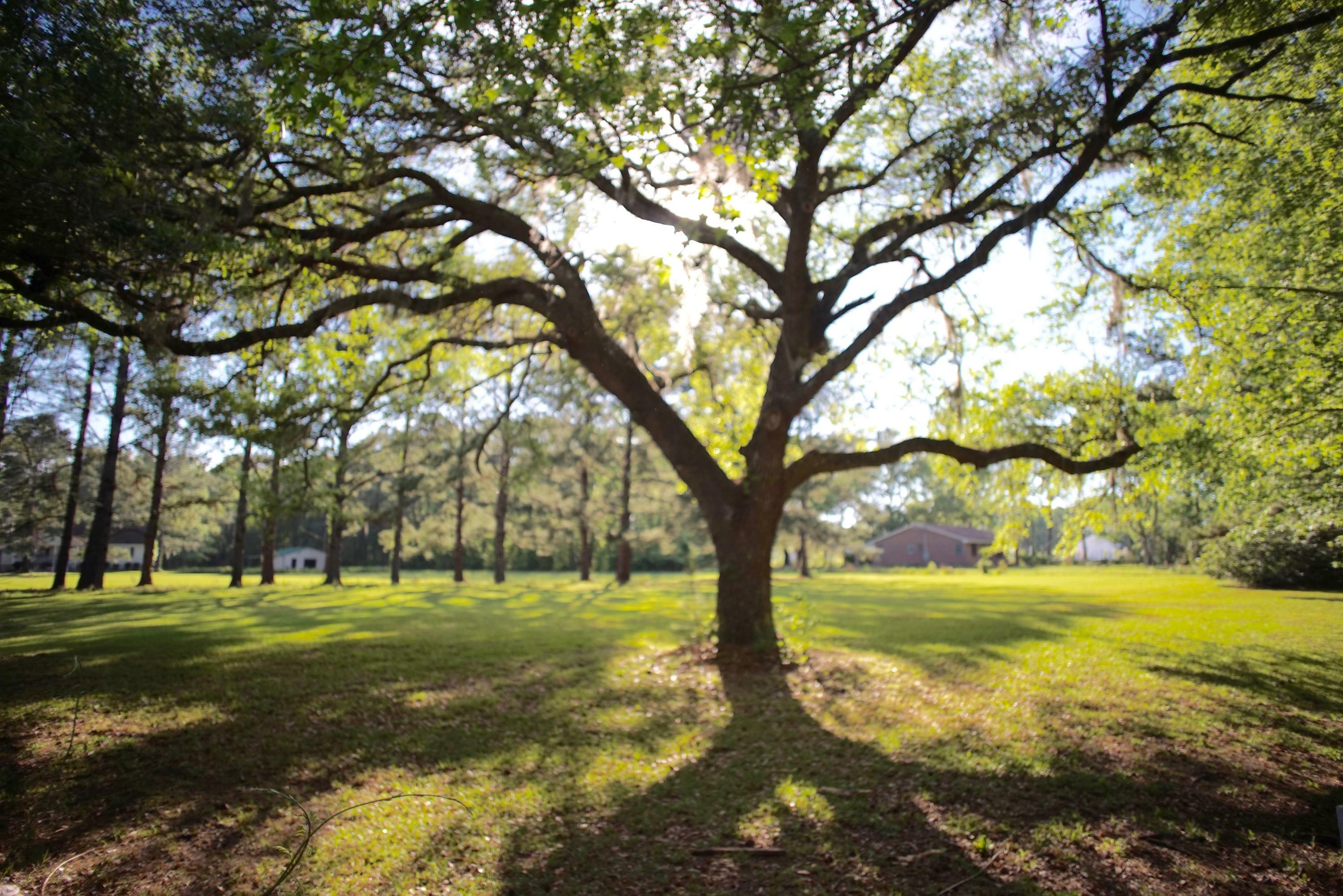 Property Photo: 1460 River Road SC 29455