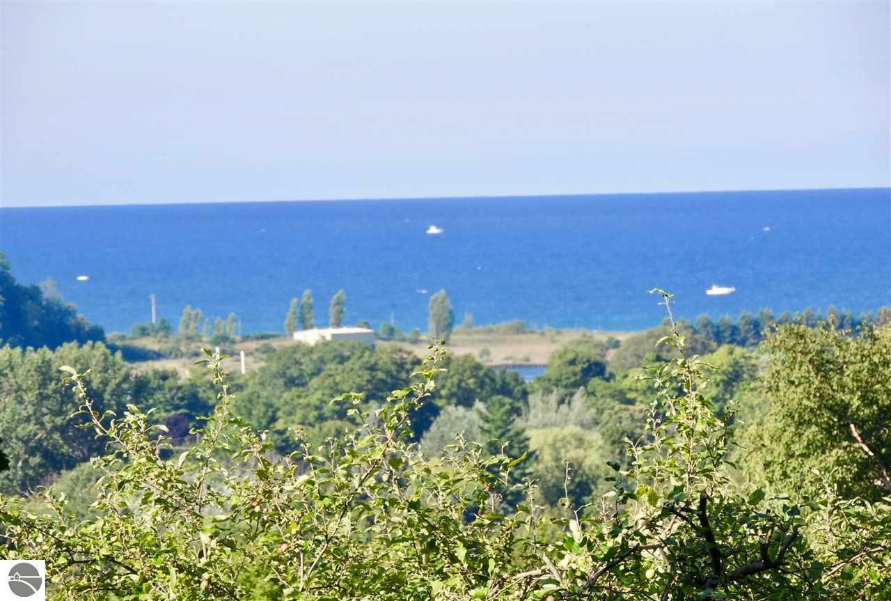 Property Photo: 0000 Bridge Street MI 49635