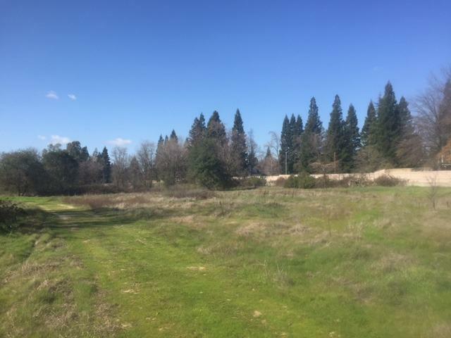 Property Photo: 0 Lot 01 Annabelle CA 95661