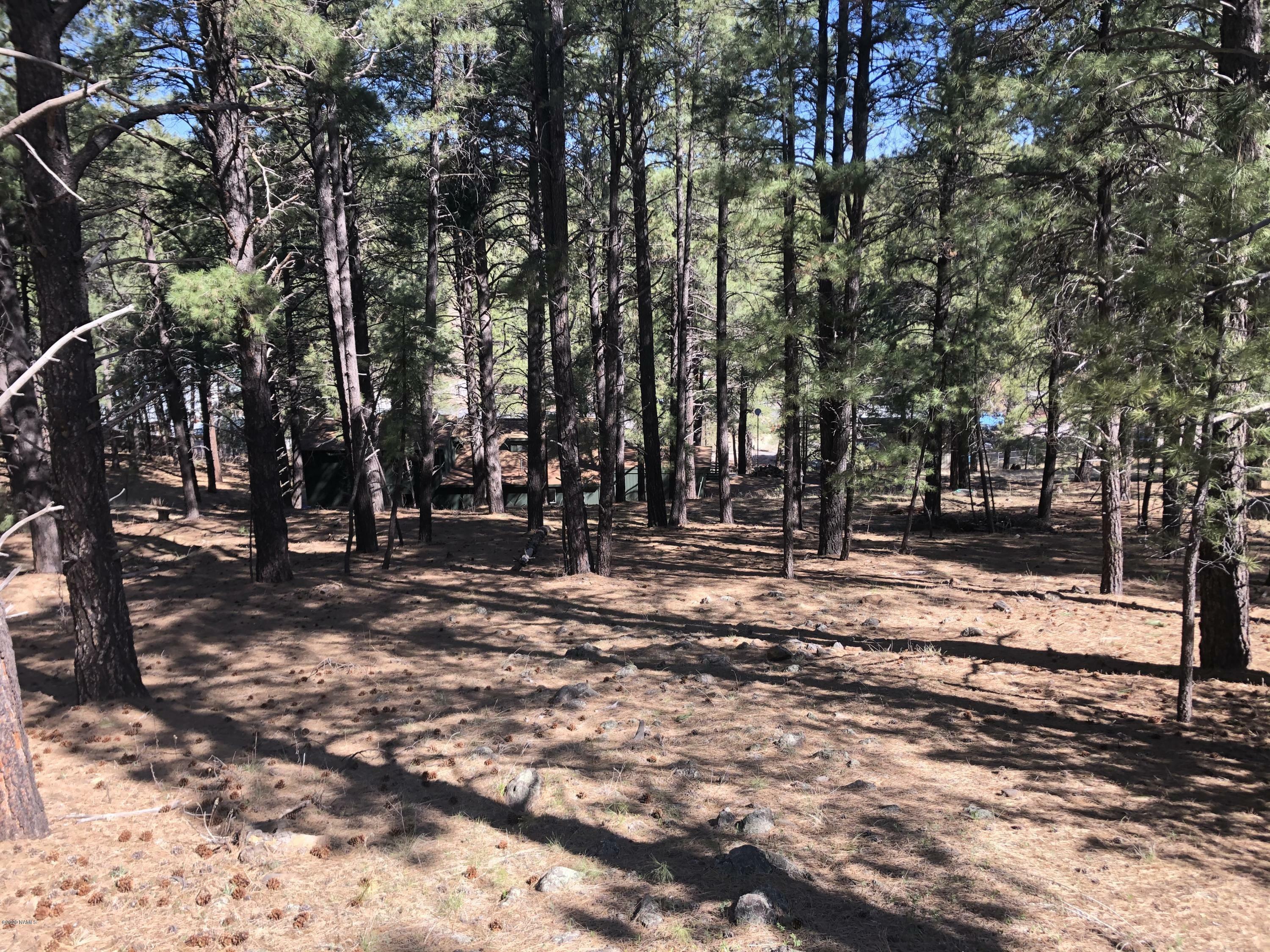 Property Photo:  3270 Toho Trail  AZ 86005 