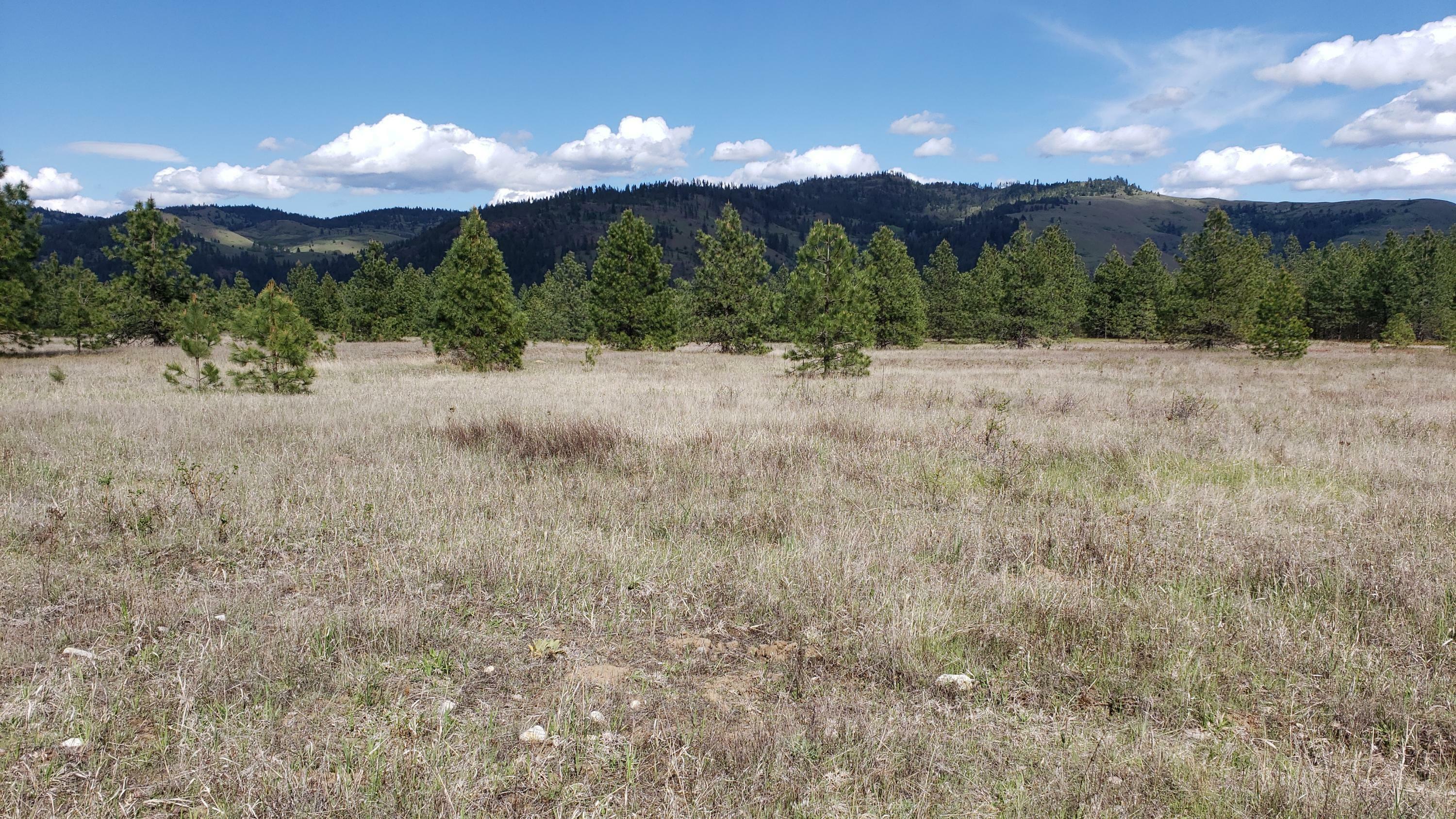 Lot 1 Saddle Ridge Rd  Kettle Falls WA 99141 photo