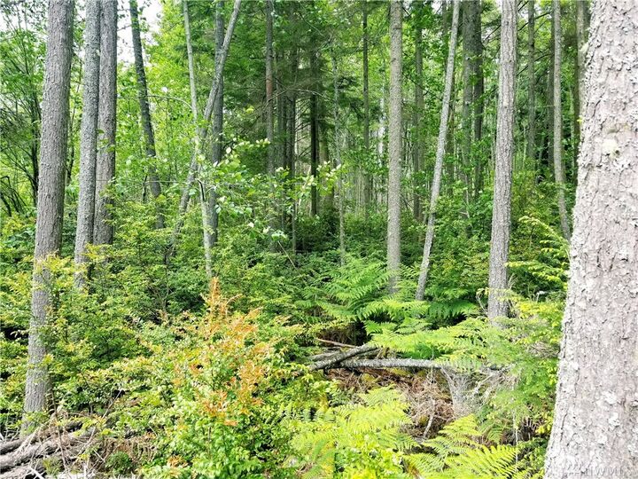 Property Photo:  25 Xx Sunset Ridge Lane  WA 98260 