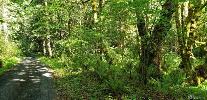 8208 SE Lynch Rd  Shelton WA 98584 photo