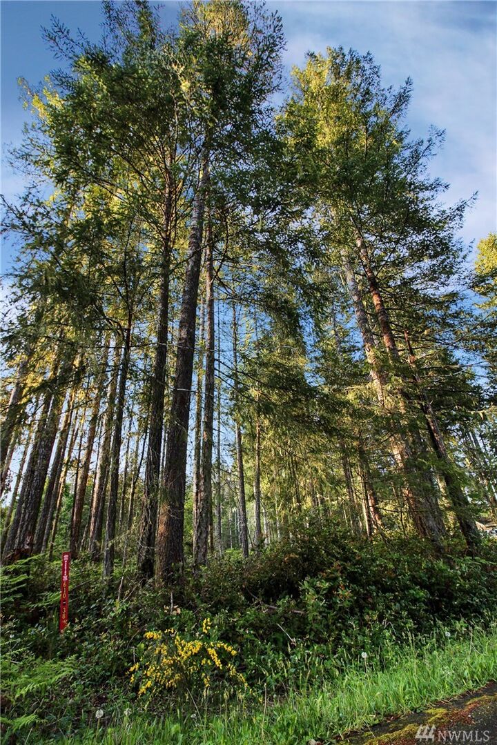 Property Photo:  51 N Bass Place  WA 98548 