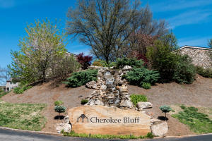 Property Photo:  2017 Cherokee Bluff 2017  TN 37920 