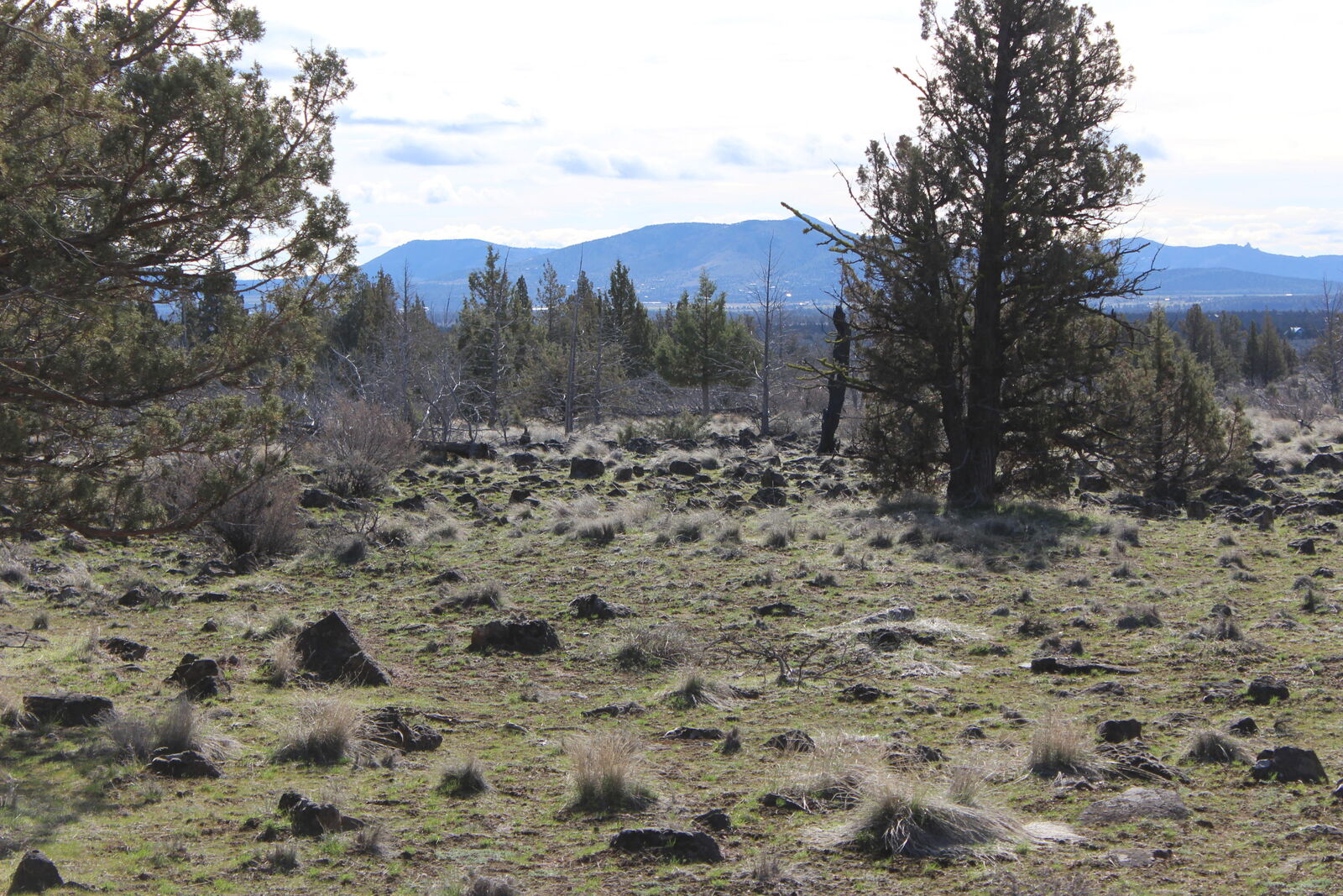 Property Photo:  Lot 300 SW Graham Road  OR 97734 