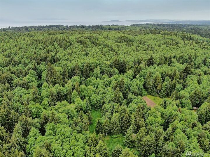 2086 Birdwood Lane  Coupeville WA 98239 photo