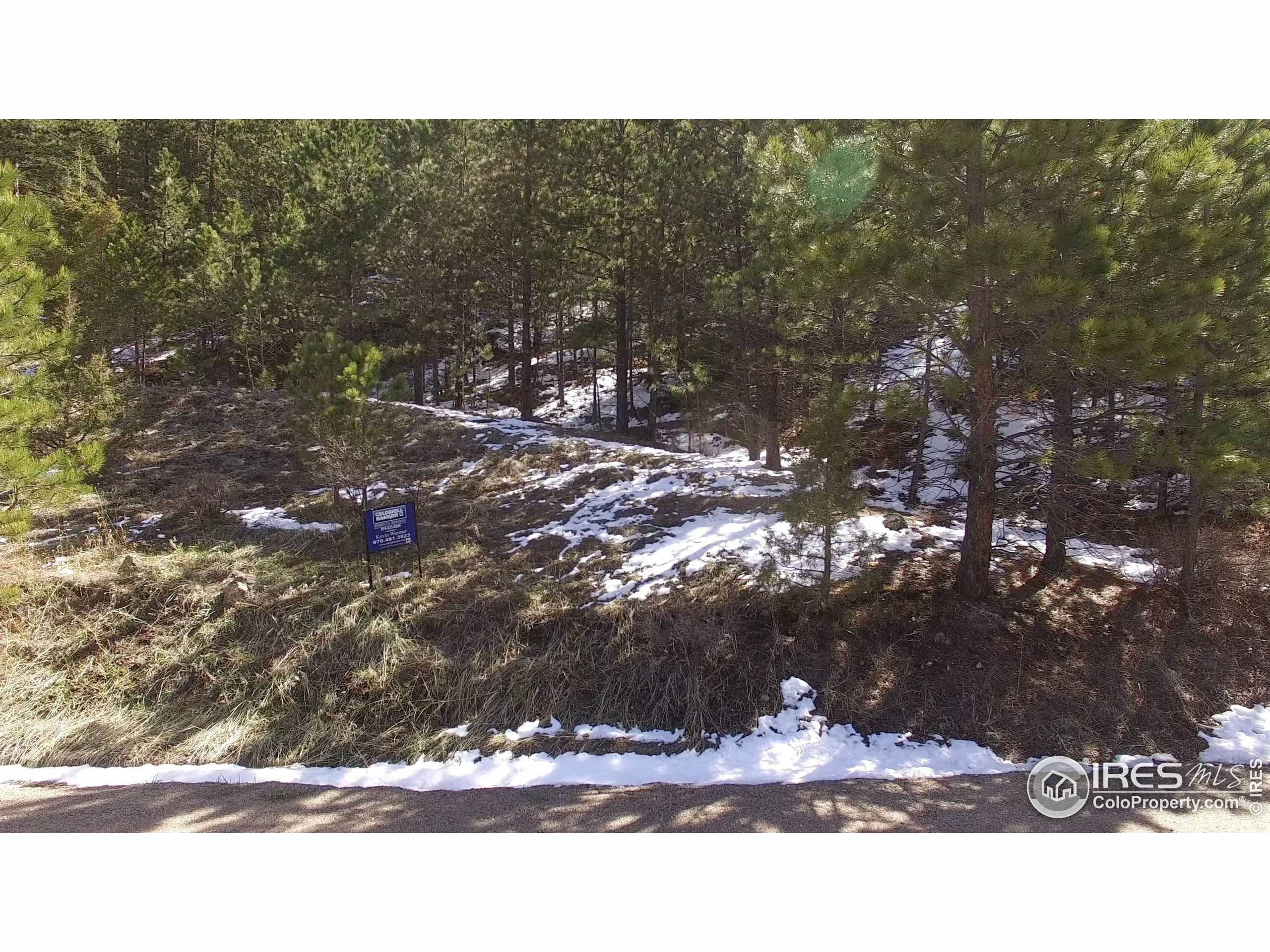 Property Photo: 2196 Miller Fork Rd CO 80532