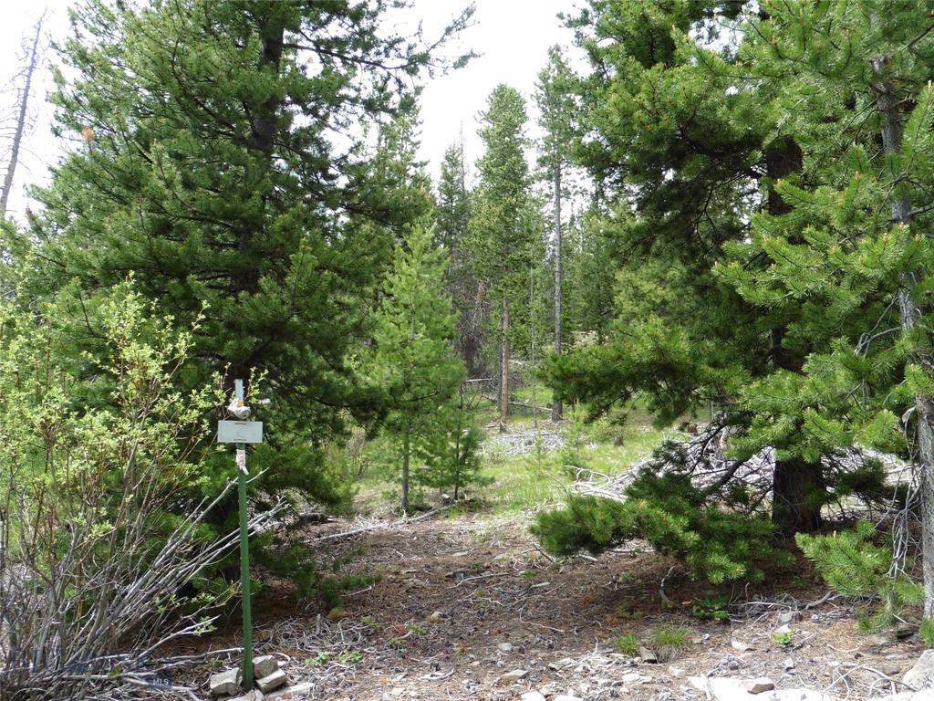 Property Photo:  Tbd Clear Creek  MT 59711 